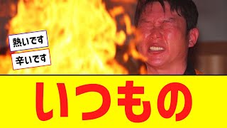 【恒例】広島・新井監督、高野山で護摩行【なんJ反応】