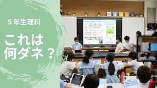 ５年生理科「これは何ダネ？」研究発表会の様子