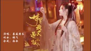 蔷薇团长 《梦里我又遇见你》 KTV 导唱字幕 （备有伴奏视频）