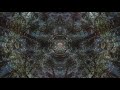 synchronos recordings mix by chlorophil psybient psychill psydub ambient downtempo chillout psy