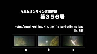 高級食材光臨っ！【水中動画の定期更新No.356】