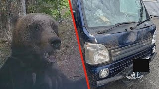 フロントガラスにひび、車体が泥まみれ　クマに襲われた軽トラックの画像公開　４月からクマ出没相次ぐ北海道根室市　山菜採りシーズンを前に箱わな設置へ