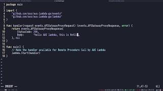 Deploying Go functions on AWS Lambda with Netlify