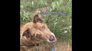 Welcome, Summer