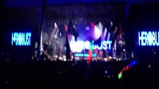 Bonnaroo - Herobust