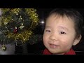 クリスマスツリーが気になる２歳児と赤ちゃん