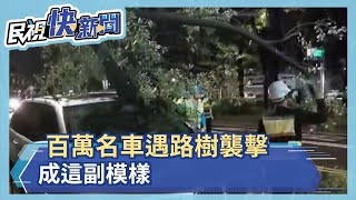 百萬名車遇路樹襲擊　成這副模樣－民視新聞