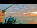 CHASING GIANT GRUNTER | Moreton Bay Fishing