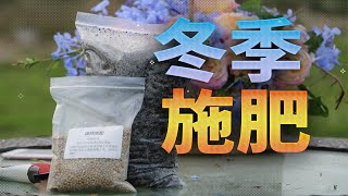 【屋檐园艺课堂】月季冬季施肥说明