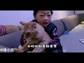 2岁儿子到了猫狗都嫌的年纪！想给家里的小宠物玩无奈猫狗都不理