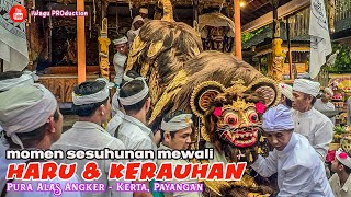 MOMEN HARU \u0026 PENGIRING KERAUHAN | Prosesi Budal Sesuhunan Sami di Pura Alas Angker