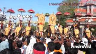 Chinakkathoor pooram video song