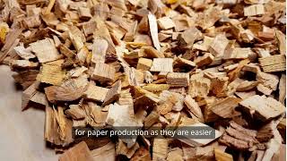 Model 13 II Mechanical Pulping II Paper Manufacturing II Education II Paper II Diploma II