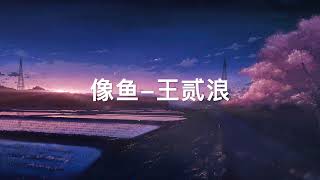 像鱼-王贰浪