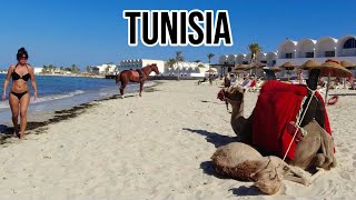 The Beach Scene in TUNISIA | Is This an African Paradise?