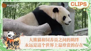 【精彩看点🐼】大熊猫和饲养员之间的羁绊，永远是这个世界上最珍贵的存在~奔向饲养员的那一刻太治愈了｜《熊猫一家人Panda‘s Family》｜MangoTV