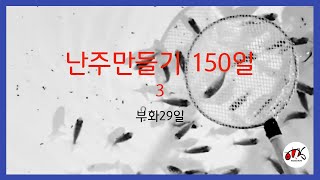 난주만들기 150일