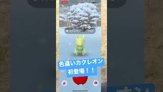 【激レア】ひょえええええ！！？！？！！？？！色違いカクレオン初登場@ホウエングローバル #shorts #pokémongo #色違い