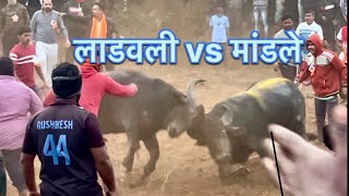 लाडवली vs मांडले 🔥 कोथेरी मैदान / पहिली झुंज || KOTHERI REDE ZUNJ 💥