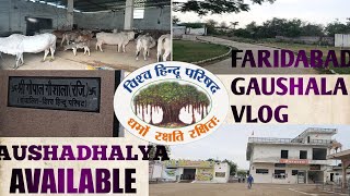 FARIDABAD GAUSHALA VLOG AT SURAJKUND