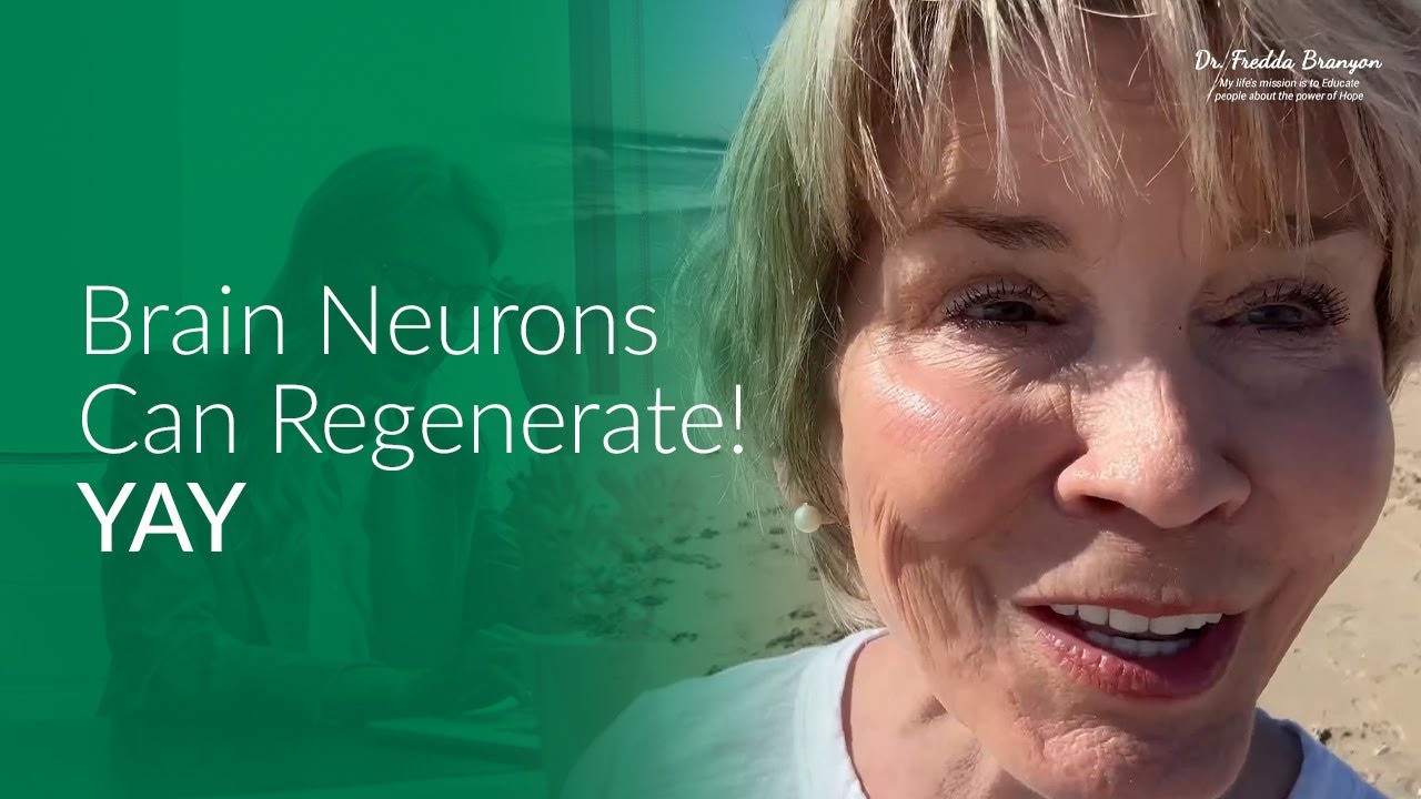 Brain Neurons Can Regenerate Yay Dr Fredda Branyon Youtube
