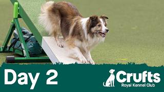 Day 2 of Crufts 2026 ✅ Roll on Super Saturday!