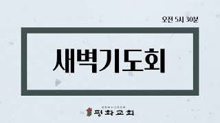 11월 28일 부산평화교회 새벽기도회(호세아 9장 1-17절 / 이성희 목사)