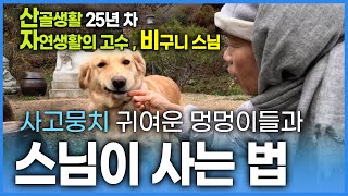 산골생활 25년 차 비구니 스님께서 나오기만을 기다리는 귀여운 멍멍이들! 좌충우돌 사고뭉치 강아지들과 자연생활의 고수 , 사부작 사부작 하루종일 바쁘신 비구니스님의 일상을 담다.