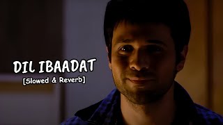 Dil Ibaadat - [Slowed & Reverb] Tum Mile | Emraan Hashmi, Soha Ali Khan | K.K. | Pritam