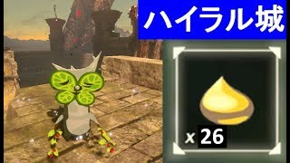 【コログのミの場所　ハイラル城　全26か所】 攻略 ゼルダの伝説 ブレスオブザワイルド  