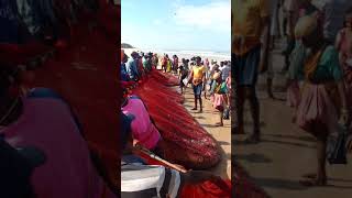 Fishing at Korawadi beach Kumbashi