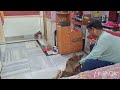 An Untold story of 🐕Musu💞 with Biswanath Paul-Dog Behaviorist 90510 13115