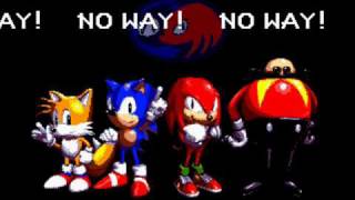 Sonic & Knuckles - No Way!