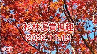 20221113杉林溪賞楓趣