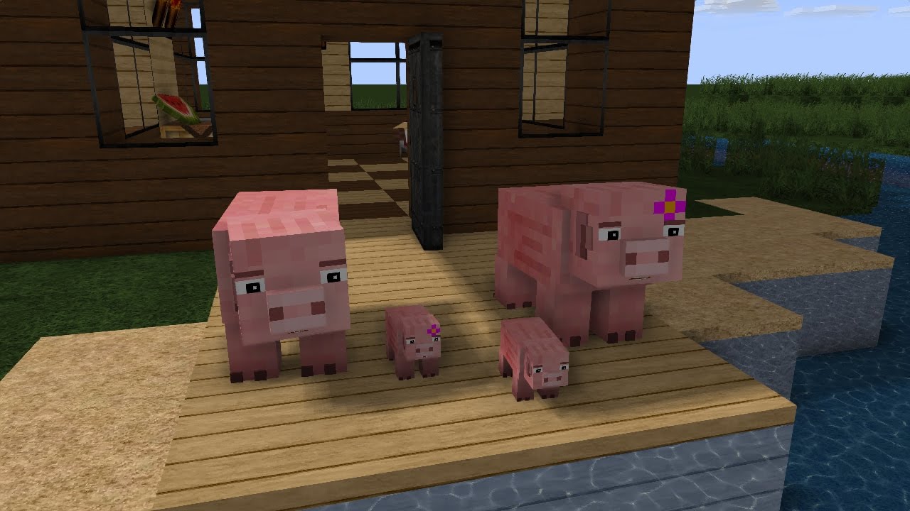 Pig Life Minecraft Animation Youtube