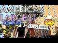 Inside Stuytown: Americas Largest Privately Owned Apartment Complex