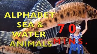 ALPHABET SEA \u0026 WATER ANIMALS   -   70 MINS