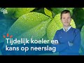 [LIVE] TIJDELIJKER KOELER MET KANS OP REGEN, LATER OPNIEUW MEER ZON