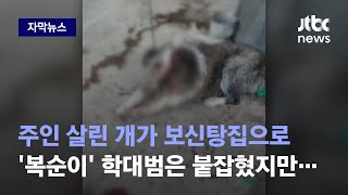 [자막뉴스] 내 반려견 물었다고 묶인 '복순이'를…학대범은 잡았지만 / JTBC News