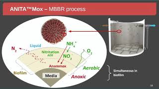 Webinar: Anammox Scale-Up at Urban Utilities Luggage Point STP - Australian Wastewater Treatment