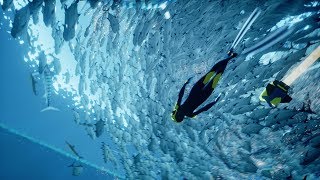 DGA Live-streams: ABZÛ - Full Playthrough