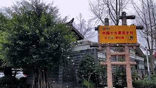 #美丽乡村 青杠树的第一场雪❄️#初雪