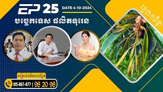 [AMC] បច្ចេកទេសធ្វើទុរេន វគ្គផលិតផ្កា (4-10-24) | #NPK #FutureGold #អាហាររងបំប៉នបន្ថែម #Chitosan