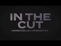 marshmello x viperactive in the cut official visualizer