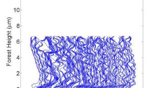 Axial Compression of CNT Forest