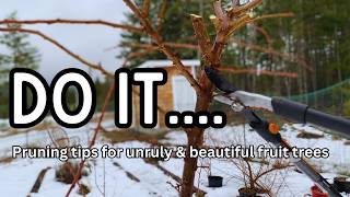 You (probably) won't kill your fruit trees | Pruning young fruit trees