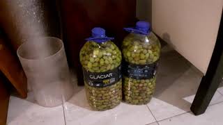 Como hacer Aceitunas Caseras en Salmuera de manera Facil, Simple e Higienica 🍸