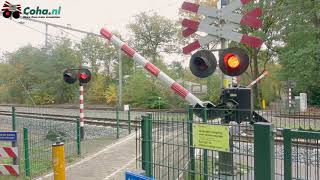 Spoorwegovergang Nunspeet 😍4K😍 // Dutch railroad crossing