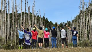 2020/07/01~02 阿溪縱走《愛山南區》。  阿里山眠月線\u0026水漾森林