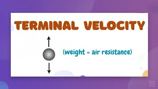 What is TERMINAL VELOCITY? — LearnStalk Physics